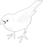 Sparrow 06 Clip Art
