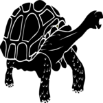 Tortoise Clip Art