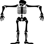 Skeleton T