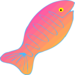 Fish 024