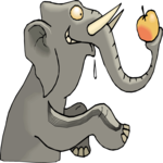 Elephant with Apple