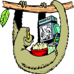 Sloth Watching TV