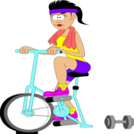 Exercise Bike - Female