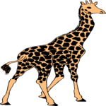 Giraffe 24