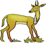 Antelope 36
