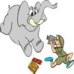 Documentary - Elephant