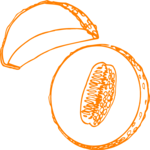 Cantaloupe 4 Clip Art