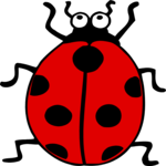 Ladybug 07
