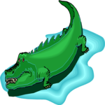 Alligator 8