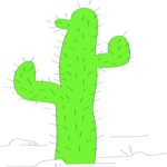 Cactus 21
