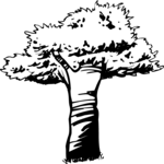 Tree 068
