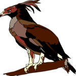 Eagle - Harpy 2