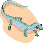 Salamander 1