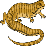Lizard 30 Clip Art