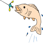 Fish & Bait Clip Art