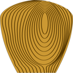 Tree Growth Rings 3