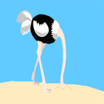 Ostrich 02