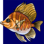 Fish 175 Clip Art