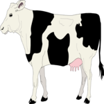 Cow 25 Clip Art