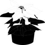 Plant 026 Clip Art