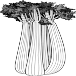 Celery 02