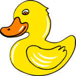 Duck 16