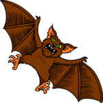 Bat 08