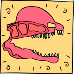 Dinosaur Skull 11