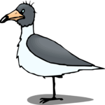 Seagull - Grumpy Clip Art
