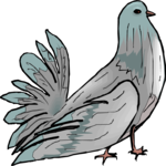 Pigeon 07 Clip Art