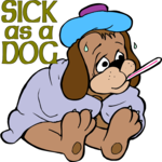Sick as a Dog