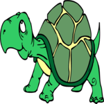 Turtle 22
