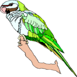 Parakeet - Mustached Clip Art