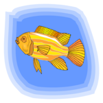 Fish 154