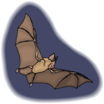 Bat 22