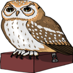 Owl 27 Clip Art