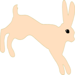 Rabbit 06