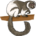 Lemur 6
