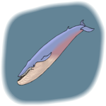 Whale - Blue Clip Art