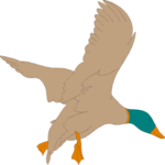 Mallard Clip Art