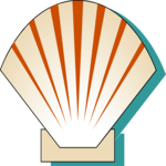 Sea Shell 1
