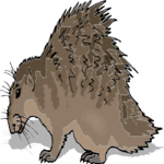 Porcupine 8