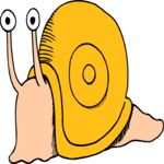 Snail 08