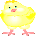 Chick 12