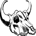 Steer Skull 17