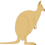 Kangaroo 02 Clip Art