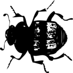 Crawling Insect 11 Clip Art