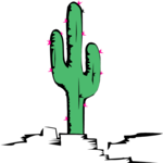 Cactus 15