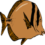 Fish 062