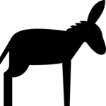 Donkey 1